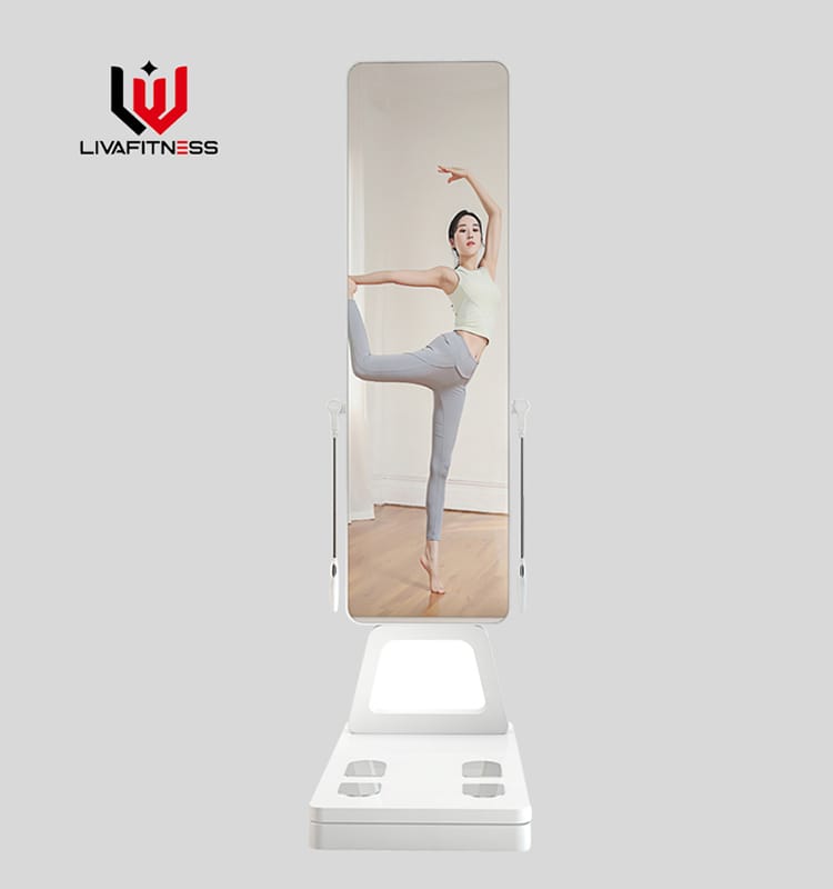 Body Segmental Analyzer LW-870